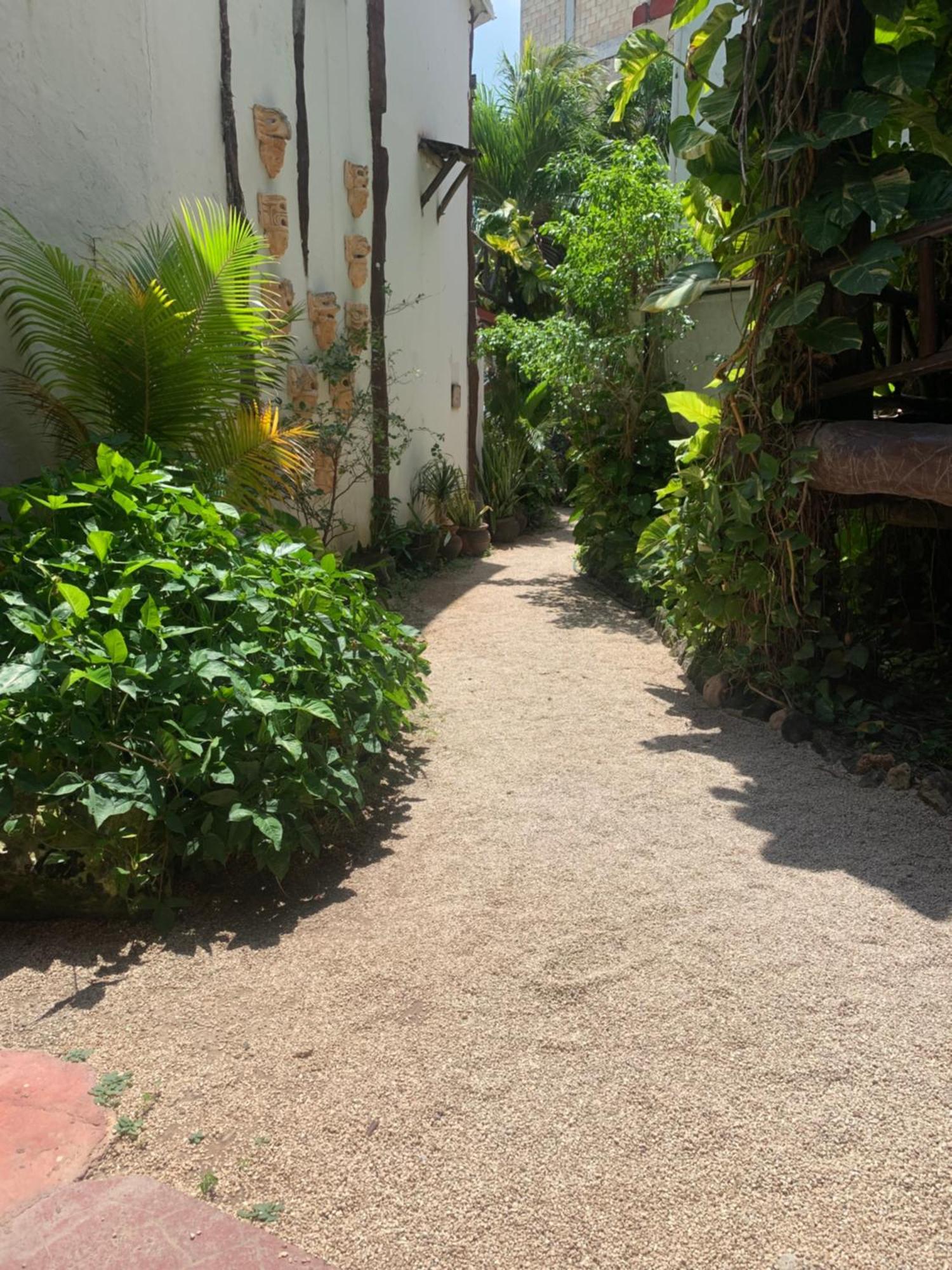 Casa Caribe Cancún Eksteriør billede A typical alleyway in Tulum