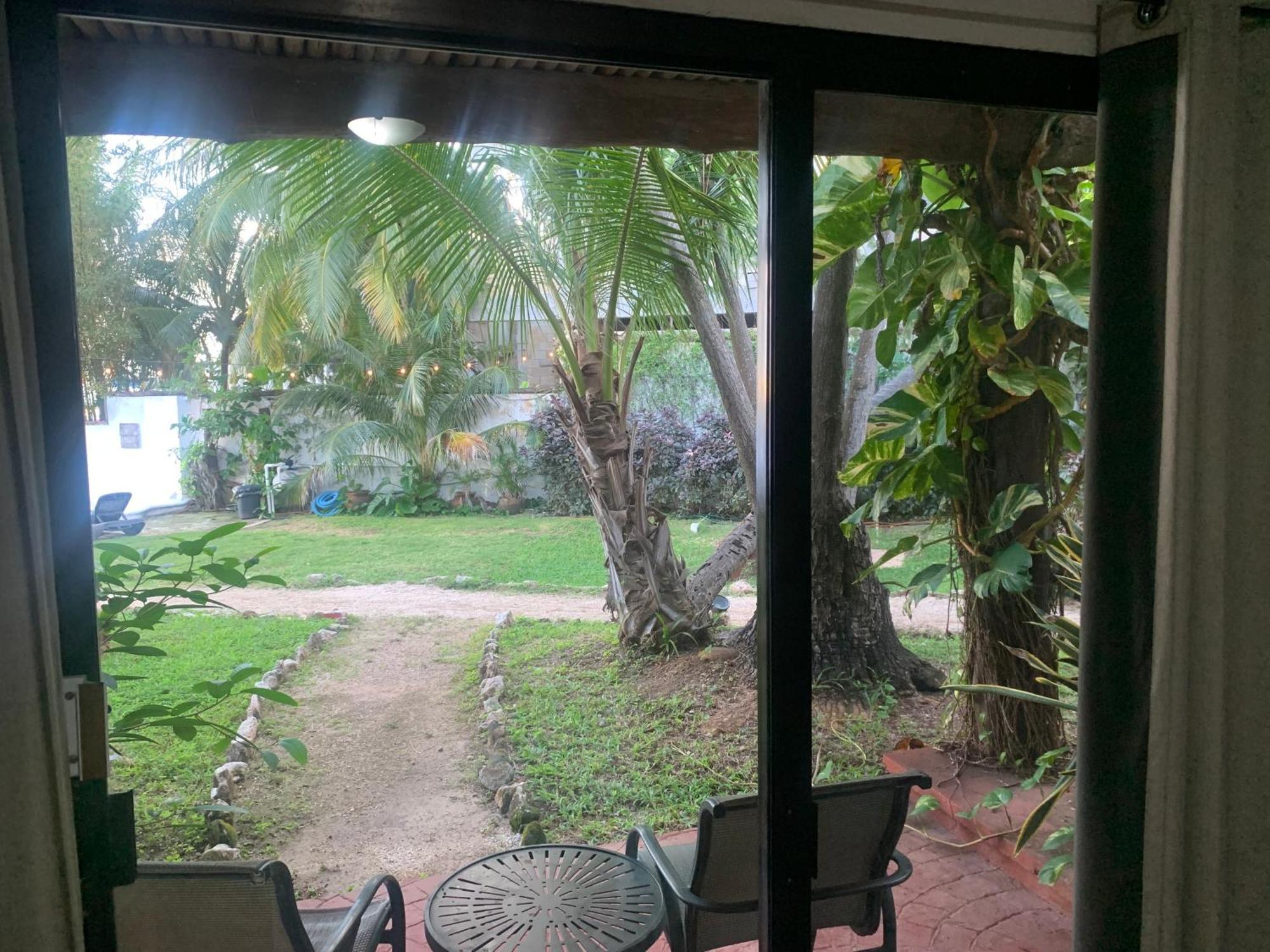Casa Caribe Cancún Eksteriør billede View of the garden from the living room